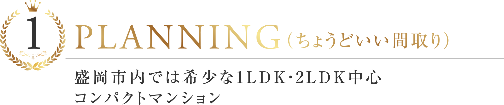 BEST1
PLANNING（ちょうどいい間取り）
盛岡市内では希少な1LDK・2LDK中心コンパクトマンション