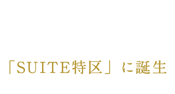 SUITE特区
