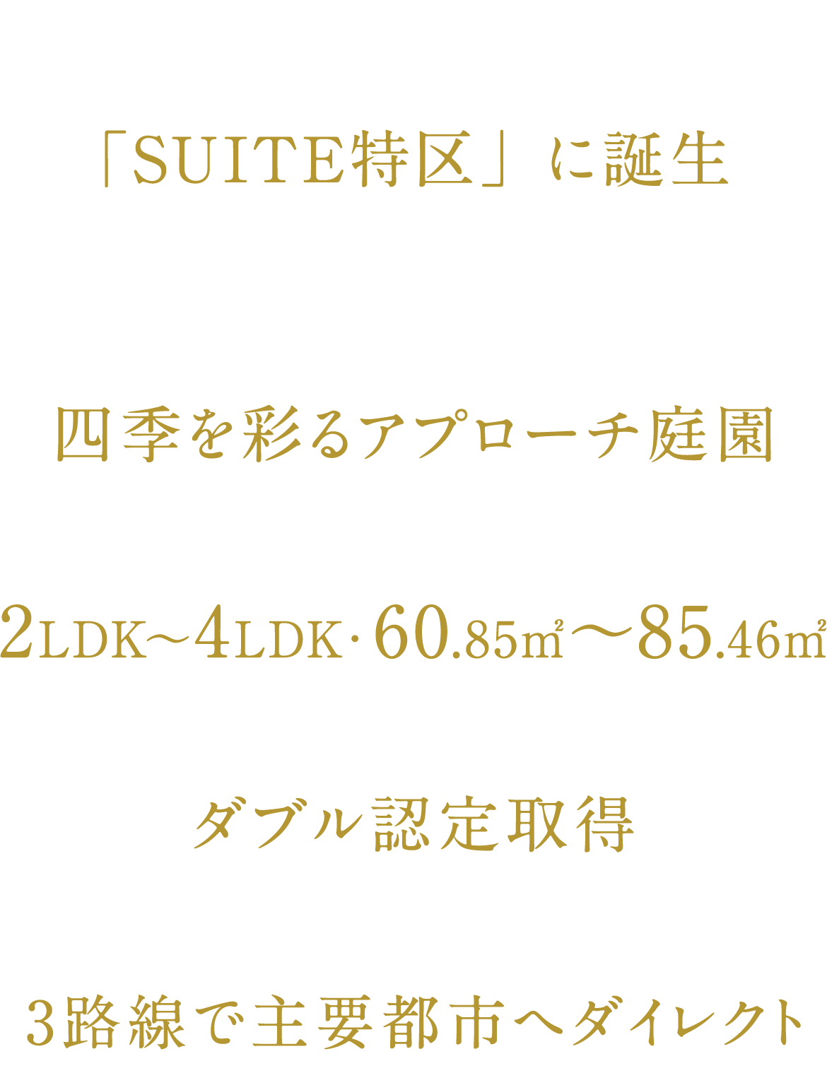 SUITE特区